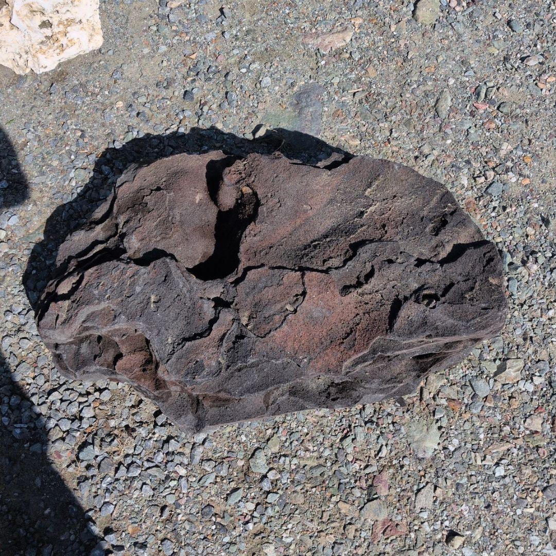 浅間溶岩石　56キロ　庭石　石　石材 庭　坪庭　ガーデニング　鑑賞石