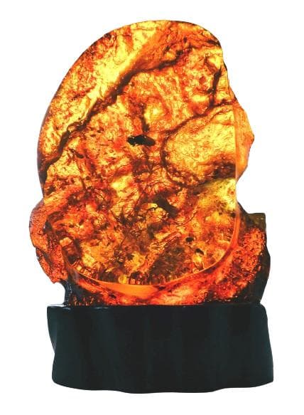 【化石】虫(蜂)入り琥珀 （台座付き）