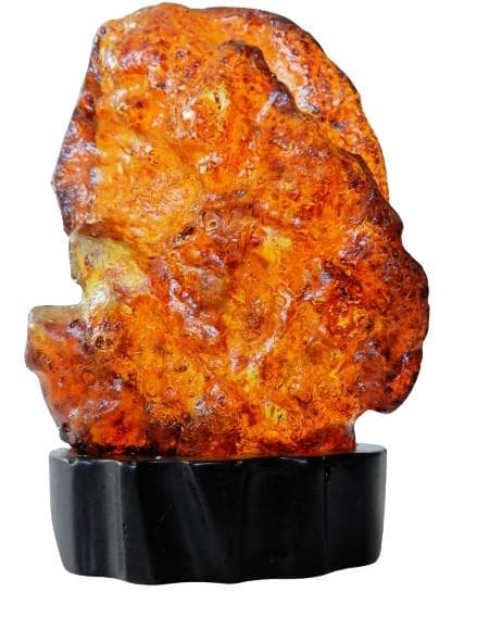 【化石】虫(蜂)入り琥珀 （台座付き）