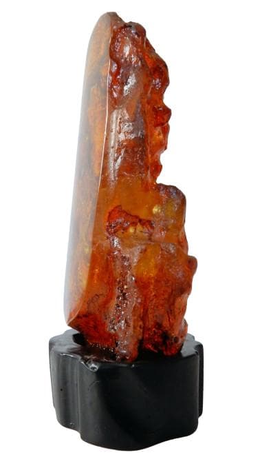 【化石】虫(蜂)入り琥珀 （台座付き）