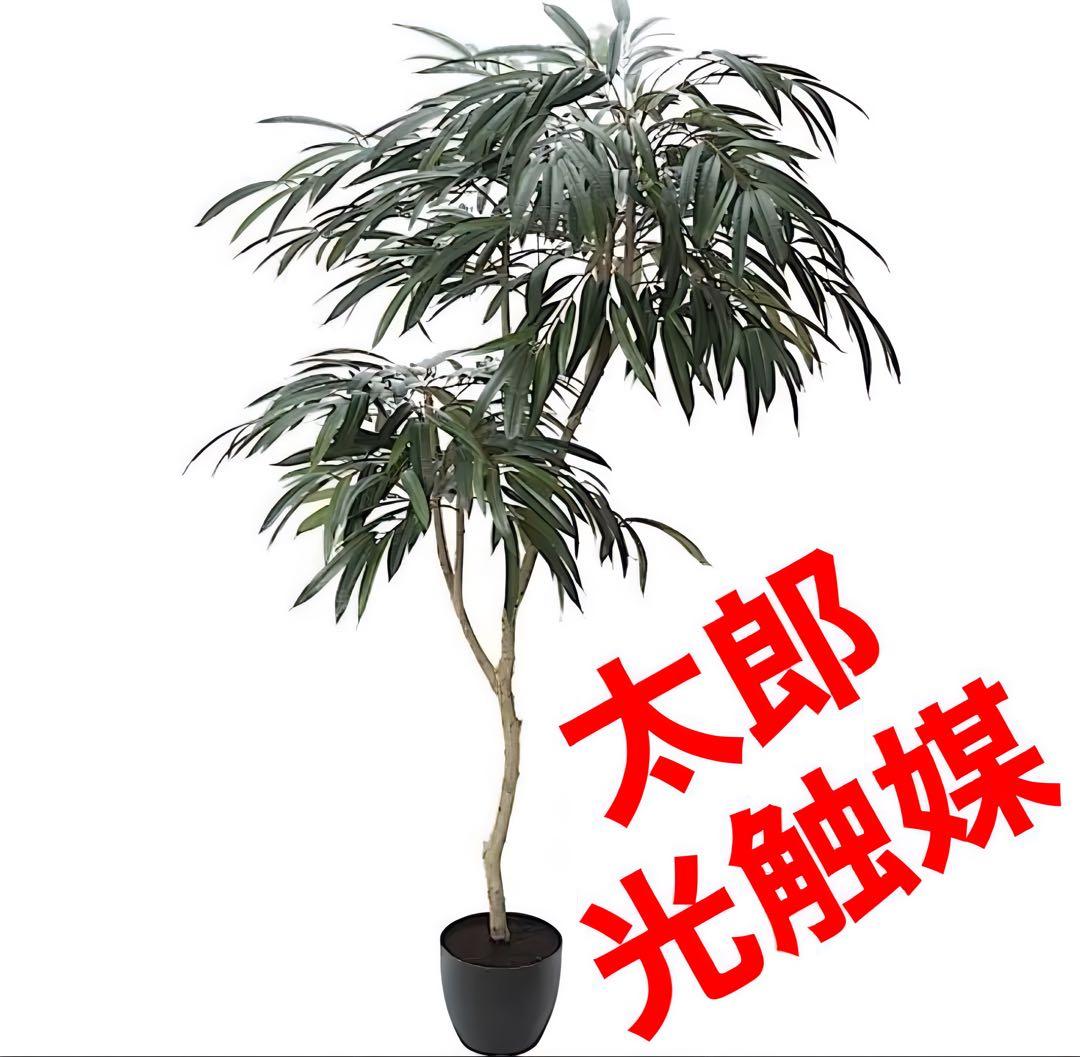 光触媒　人工観葉植物　ウォールグリーン　フェイクグリーン　ショウナンゴム180