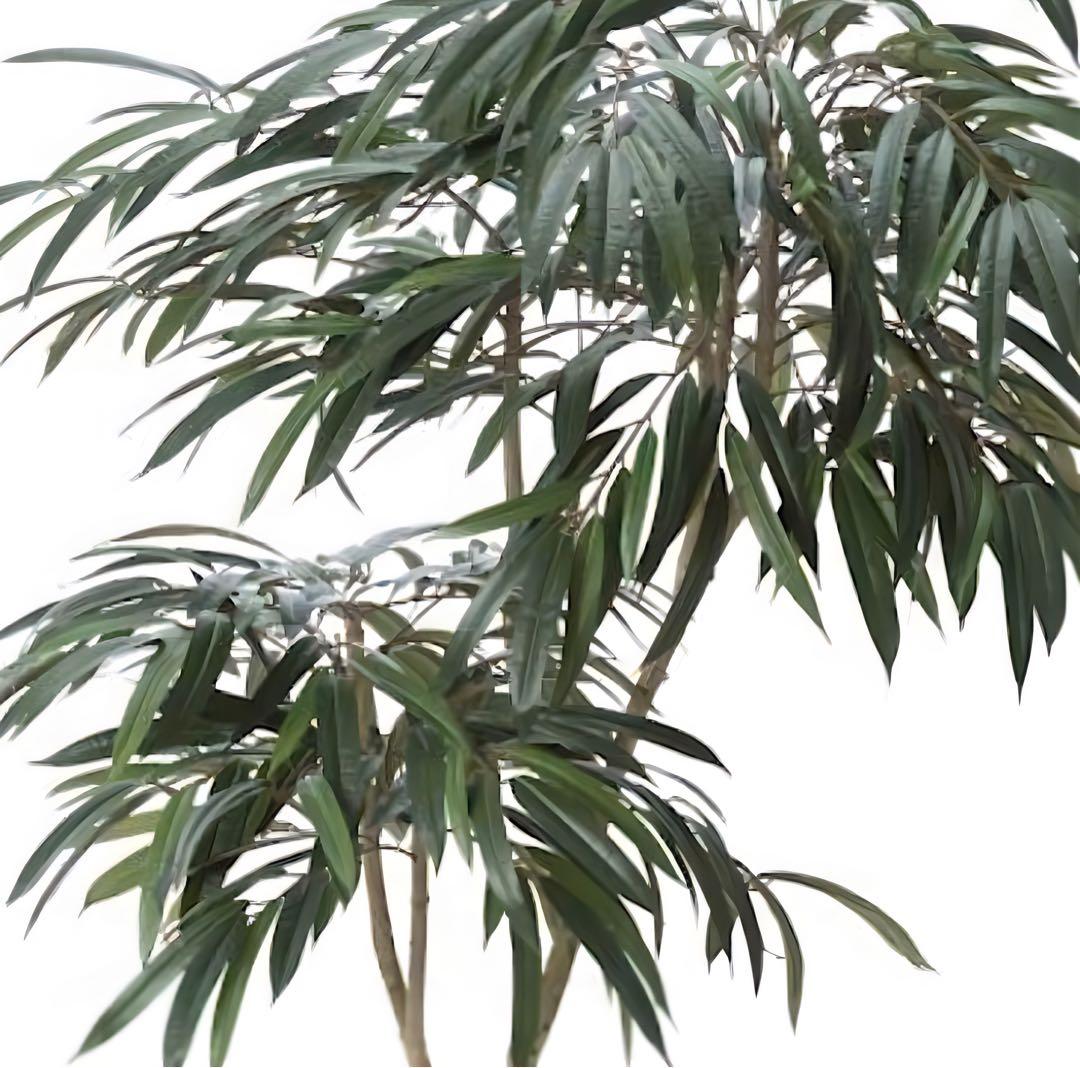 光触媒　人工観葉植物　ウォールグリーン　フェイクグリーン　ショウナンゴム180