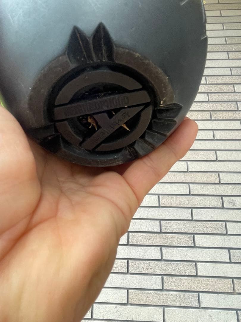 グラキリスSRLネイバーフッド鉢セット