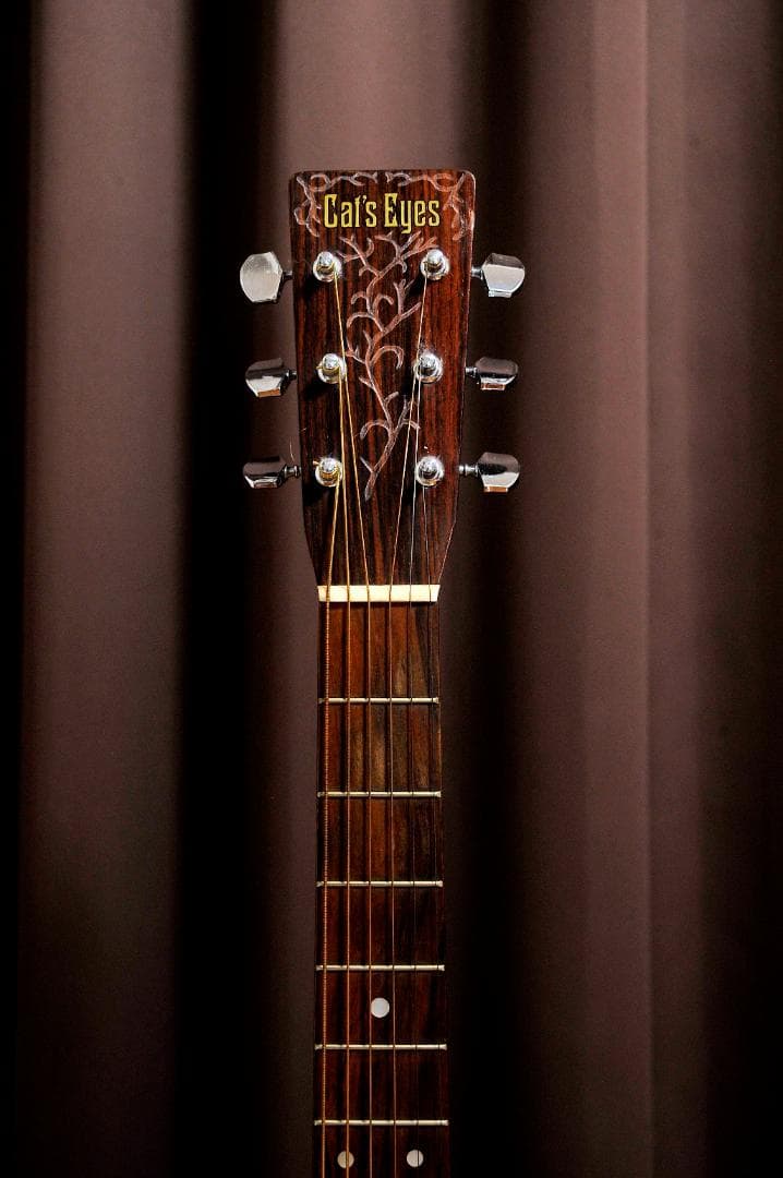 ☆彫刻ギター Cat's Eyes CEシリーズ 舞台にストリート演奏とオブジェ