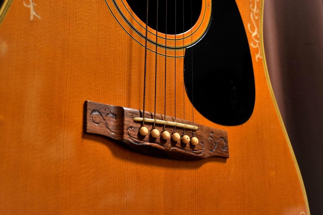 ☆彫刻ギター Cat's Eyes CEシリーズ 舞台にストリート演奏とオブジェ