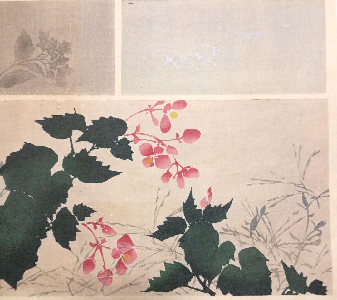 琳派図案版画（色摺版画)、作者不詳、明治後期～昭和初期出版