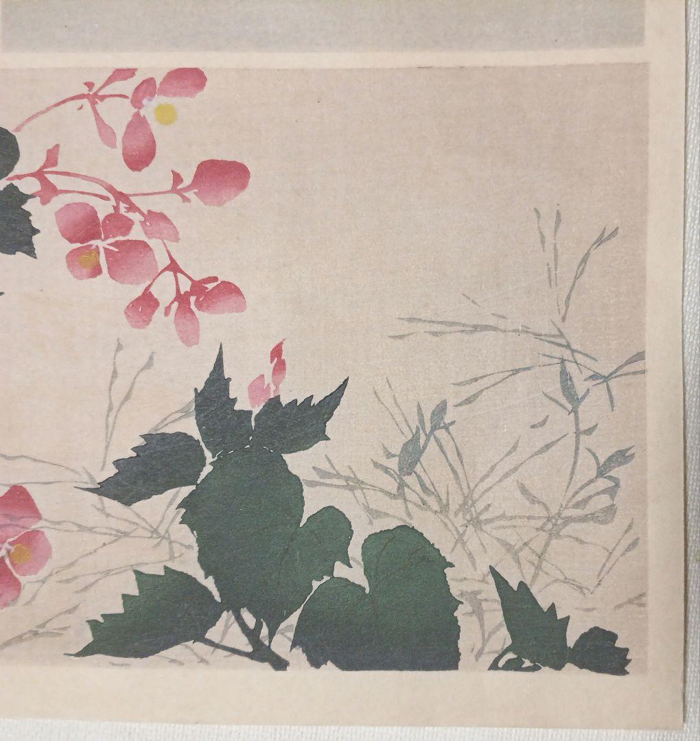 琳派図案版画（色摺版画)、作者不詳、明治後期～昭和初期出版