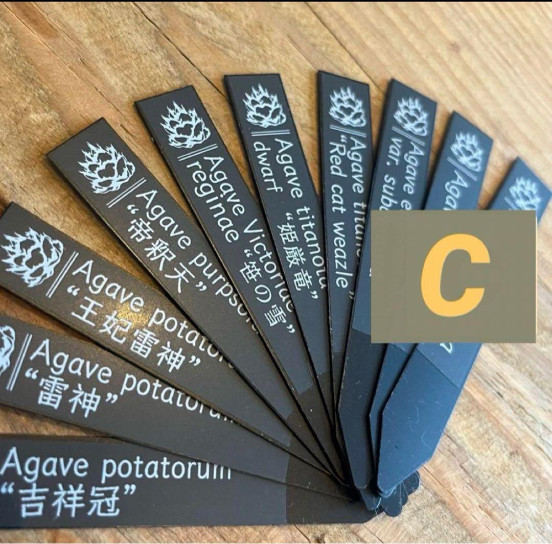 GW SALE! プランツタグ マットラベル 園芸ラベル アガベ チタノタ