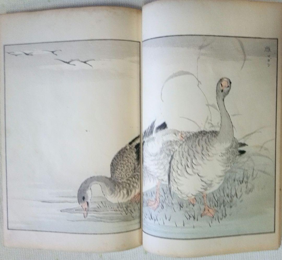 木版画本聚鳥畫譜大正5年再版三冊揃い天、地、人沼田荷舟画初版は明治