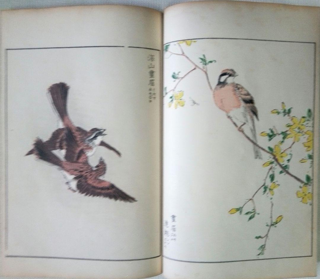 木版画本聚鳥畫譜大正5年再版三冊揃い天、地、人沼田荷舟画初版は明治