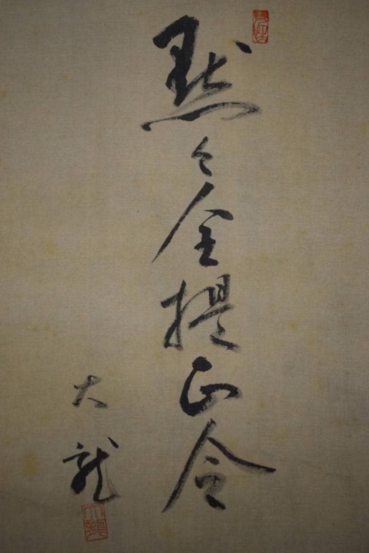 /大龍/達磨図/布袋屋掛軸HJ-522