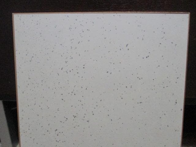 レア品　美品　板井れんたろう　直筆　サイン　色紙　額装　当時物