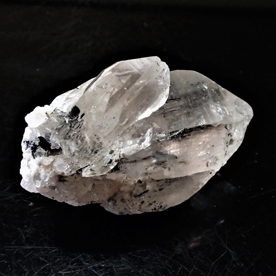 値下しました！ティップリン産ポイント-53-4