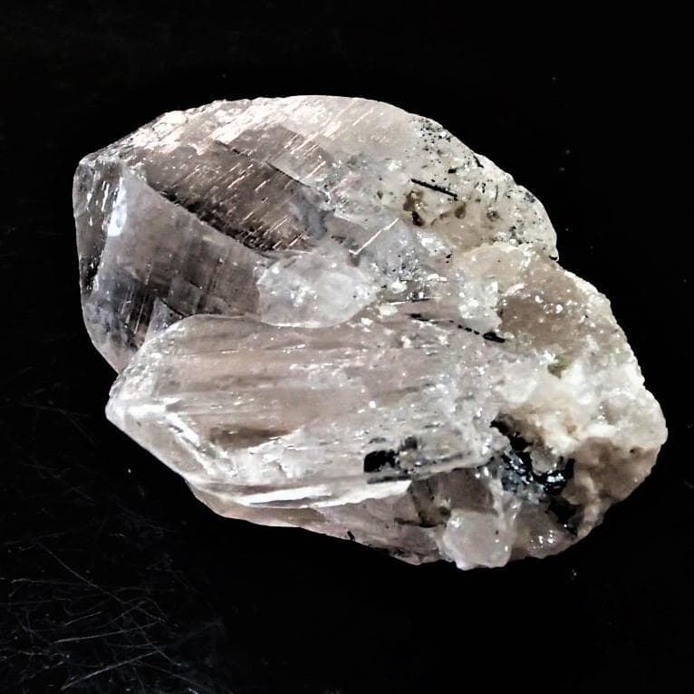 値下しました！ティップリン産ポイント-53-4