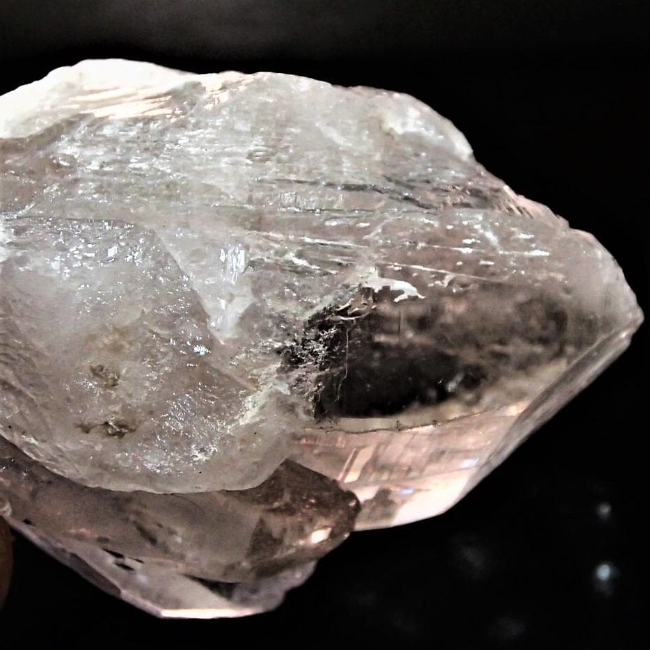 値下しました！ティップリン産ポイント-53-4