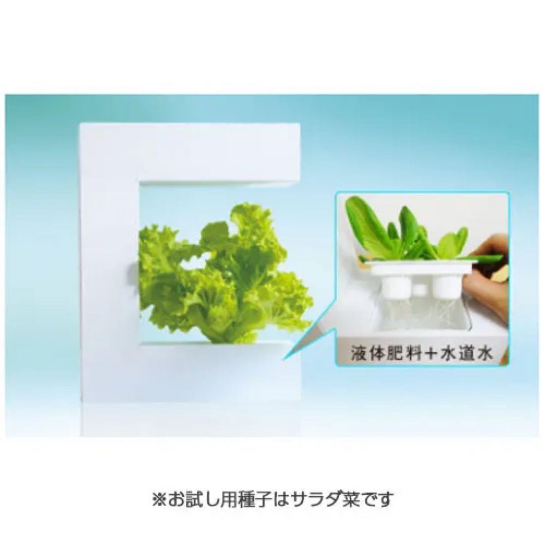 Akarina 灯菜 本体コの字型 灯菜