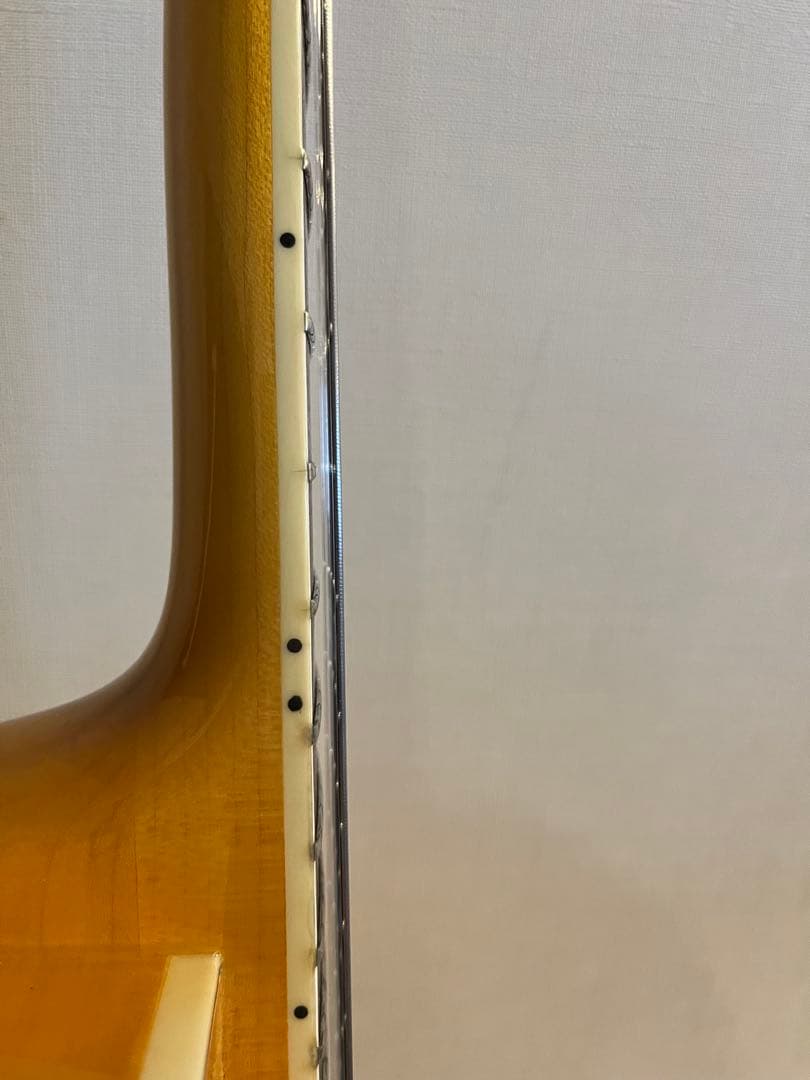 Bunny RFA-65 フルアコ