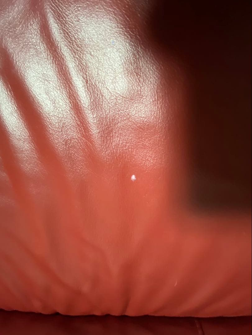 【美品】【本革】存在感抜群！高級赤レザー L字ソファ 320cm※直接引取り