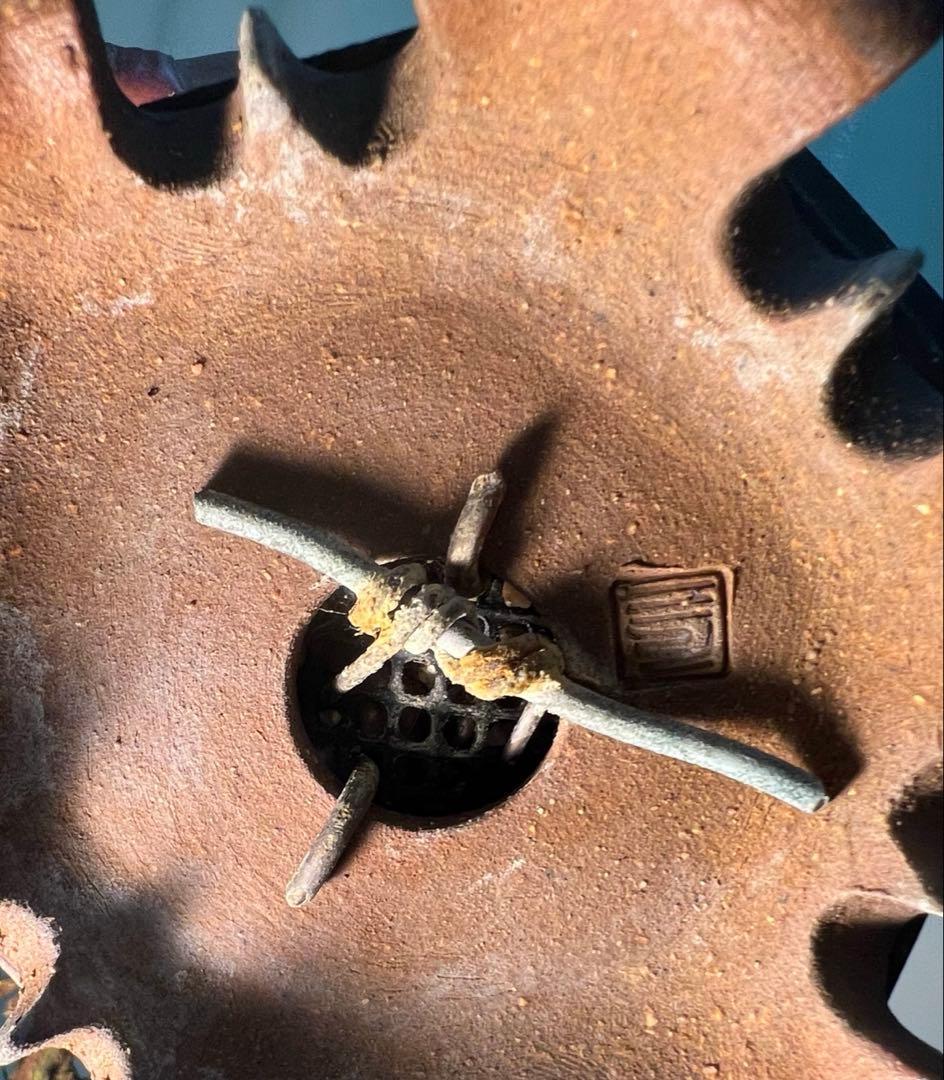 真柏　古木　鉢かっこいいです