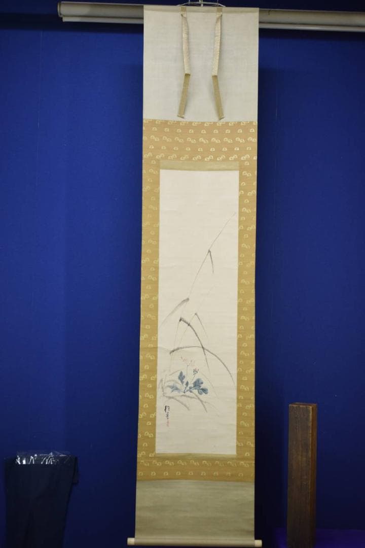 模写/酒井抱一/花図/布袋屋掛軸HI-559 - メルカリ