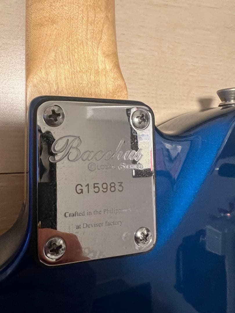 バッカス エレキギター 青 RADWIMPS - メルカリ