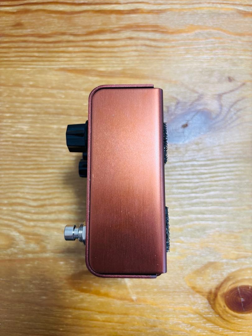 【完動品】Strymon Lex【ギターエフェクター】