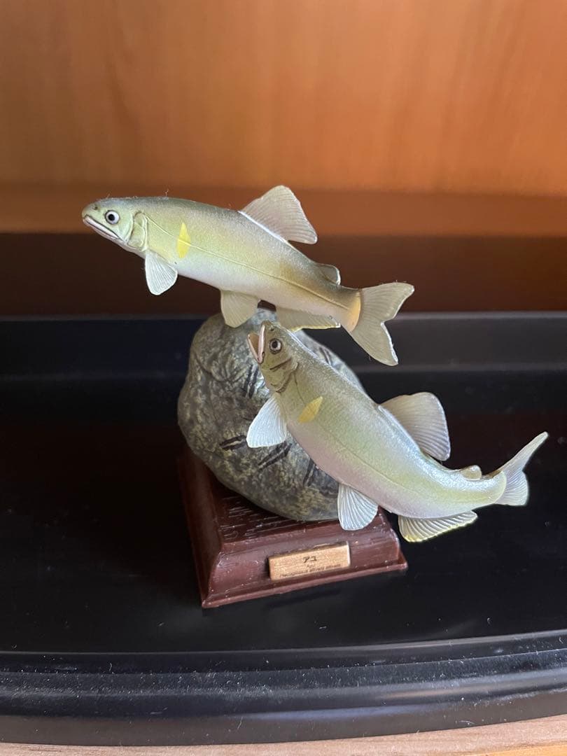 ネイチャーテクニカラー　日本の清流　初版　7種セット