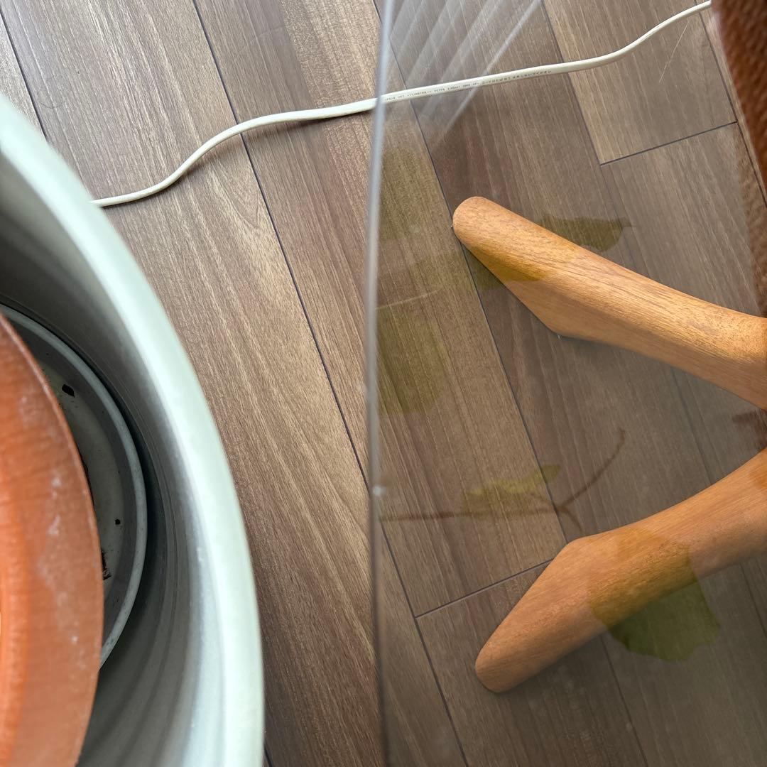 Illum Wikkelso 北欧デンマーク家具　ガラステーブル/楕円形❣️