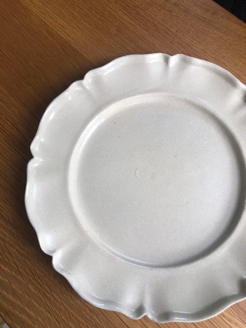 河合竜彦 レリーフ皿 貫入 リムプレート 貫入釉 うつわ 作家 ハンドメイド 器