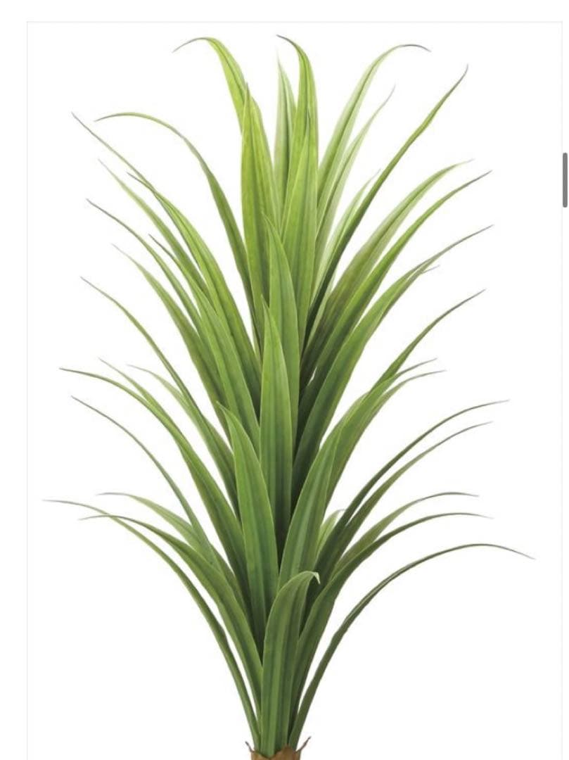 光触媒　人工観葉植物　フェイクグリーン　ドラセナ 高さ 1.8m