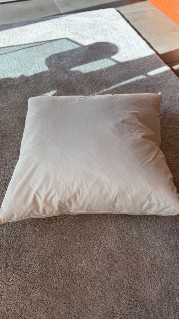 クッション　カッシーナIXC