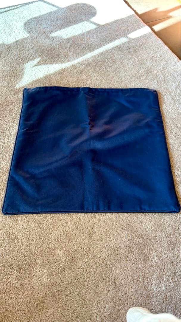 クッション　カッシーナIXC