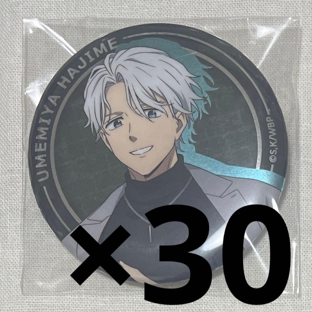 WIND BREAKER ロフト 梅宮 缶バッジ - メルカリ