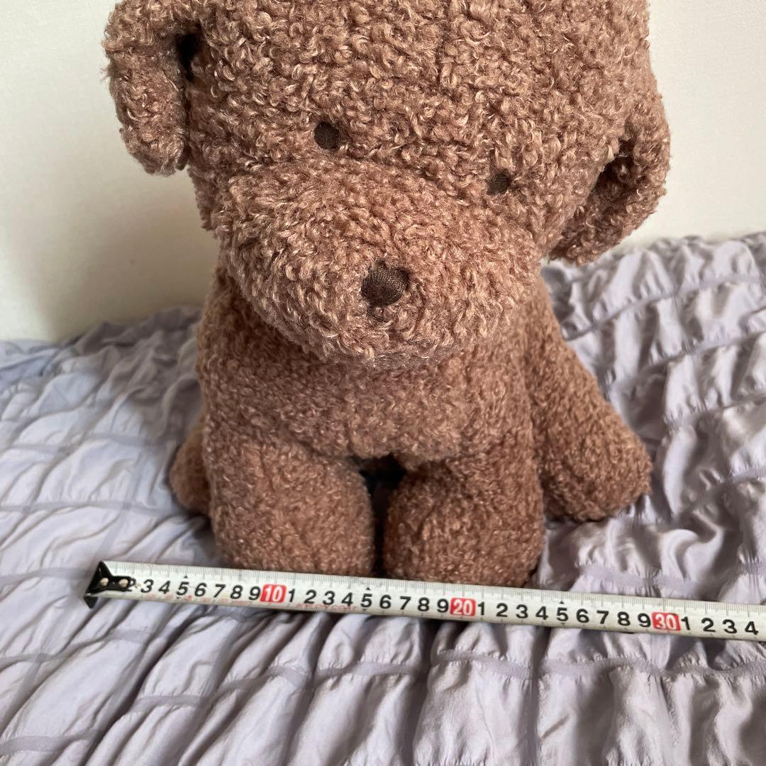 【新品未使用】　ジェラートピケ ジェラピケ トイプードル ティッシュケース 犬