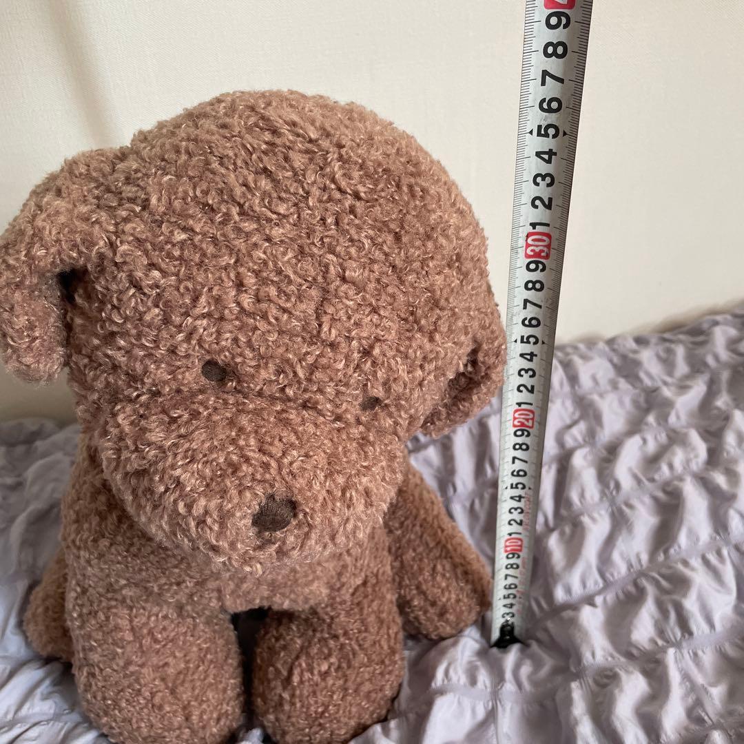 【新品未使用】　ジェラートピケ ジェラピケ トイプードル ティッシュケース 犬