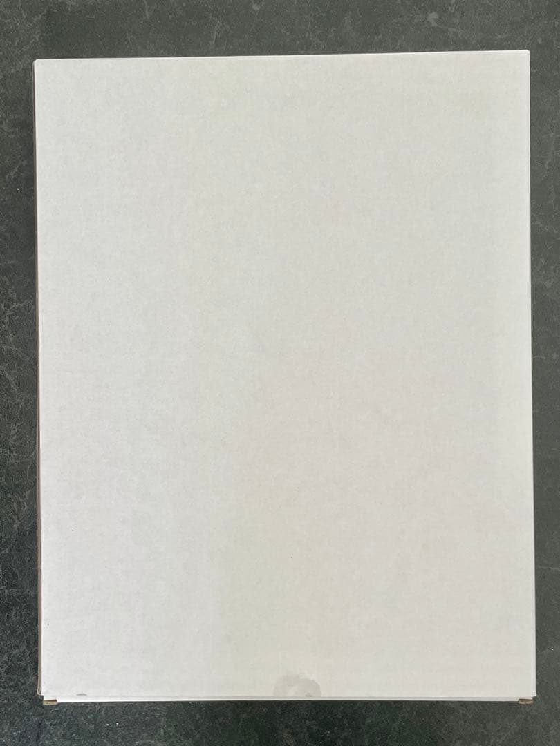 初音ミク feat. Yoneyama Mai 米山舞 描き下ろし複製原画