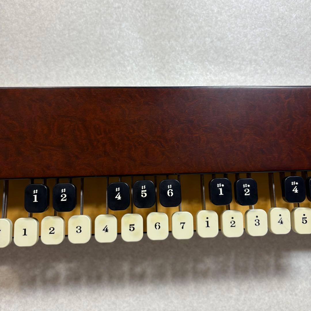 LYRISH LSS75 ライリスト 大正琴 ライリッシュ - メルカリ