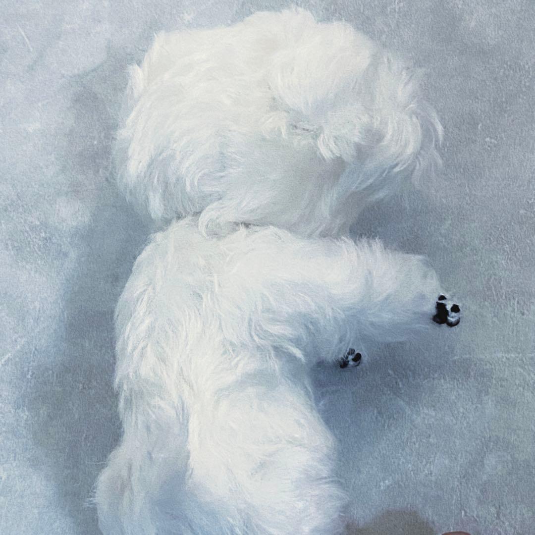 作家さま　ふわふわマルチーズのぬいぐるみ　テディベア　ハンドメイド