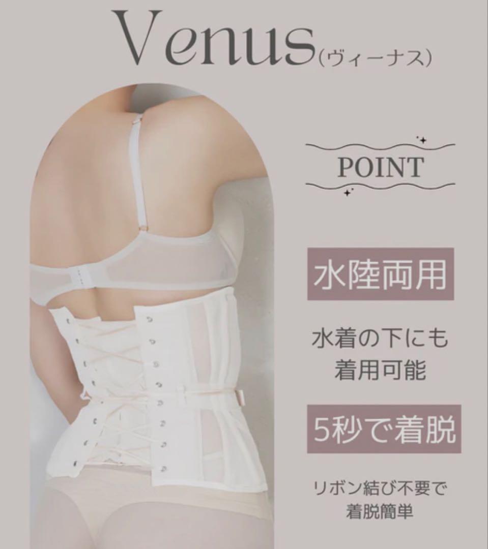 Enchanted Corset 日本製　Venus M ブラウン　元鈴木さん