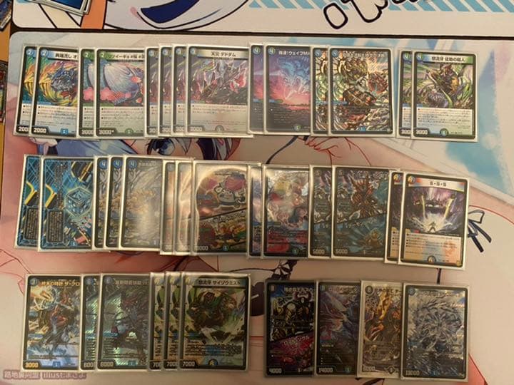 アナカラーシャコガイル 現在のアナカラーシャコガイルについて｜tomo