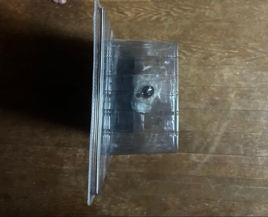 九能龍信 レグルス版 クローズ WORST 髑髏の系譜 - メルカリ