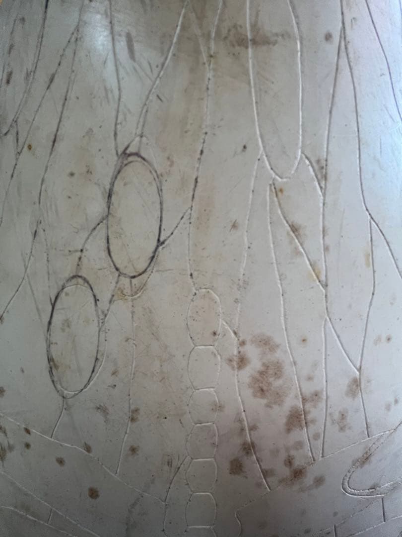 オデッセイ　ドラゴンフライ　20インチ