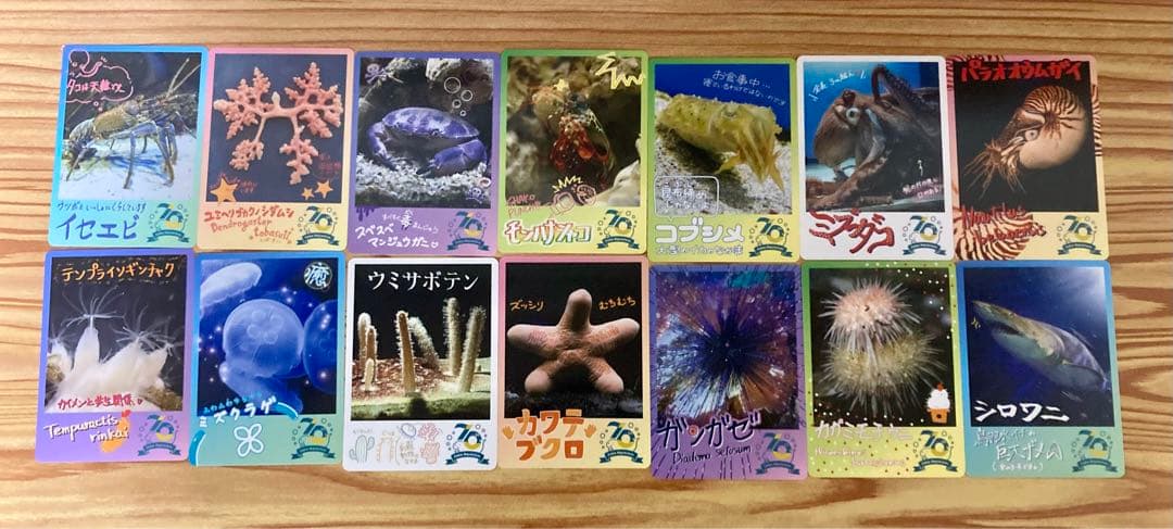 鳥羽水族館70周年記念コレクションカード72種 コンプリートセット