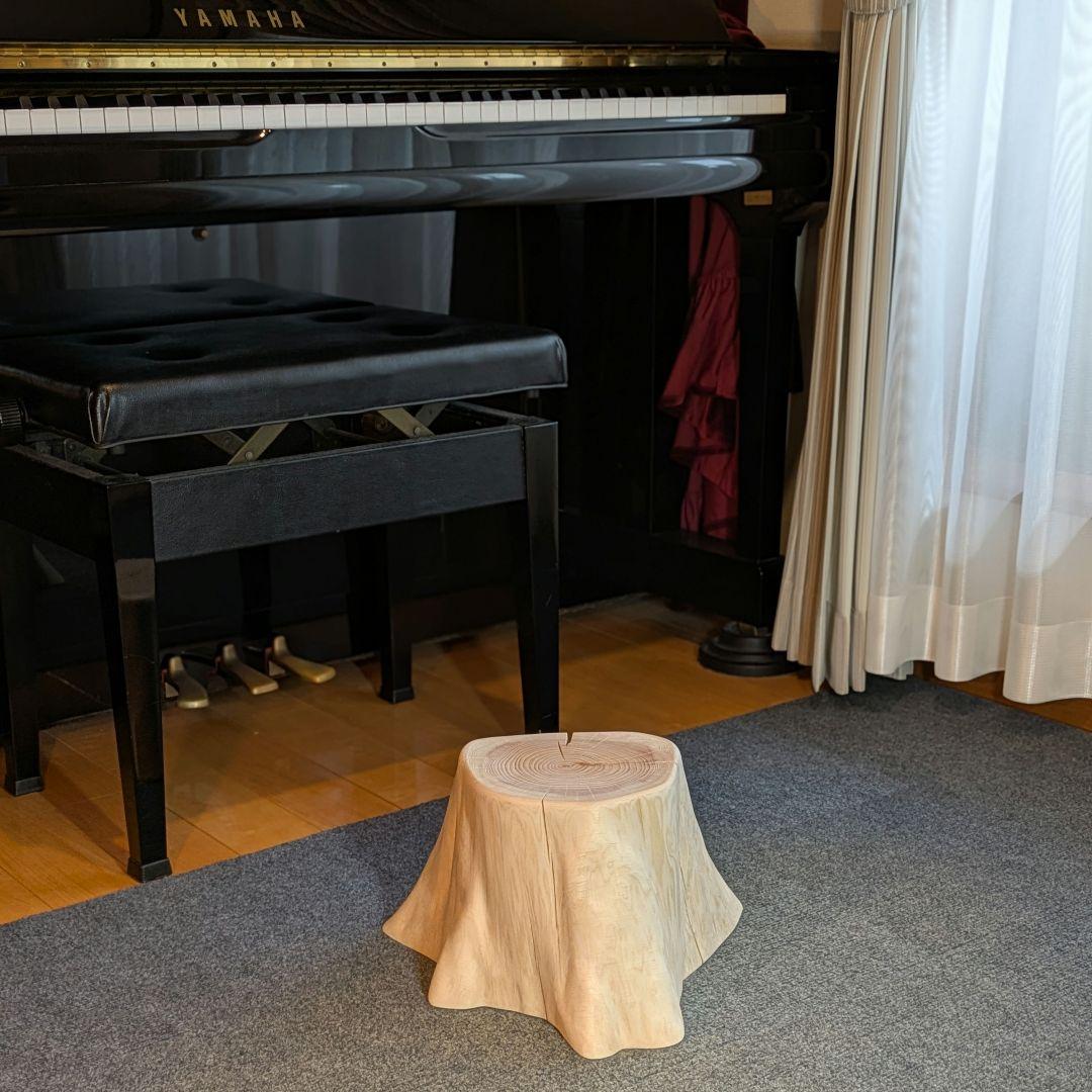 檜　切り株　高さ約19.5㎝