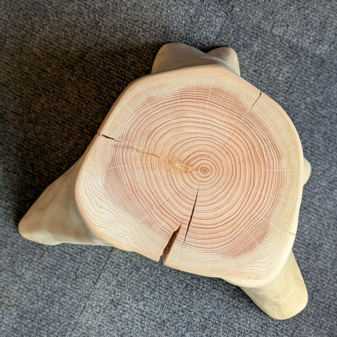 檜　切り株　高さ約19.5㎝