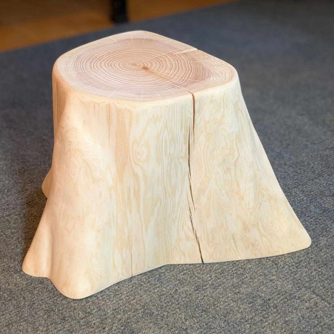 檜　切り株　高さ約19.5㎝