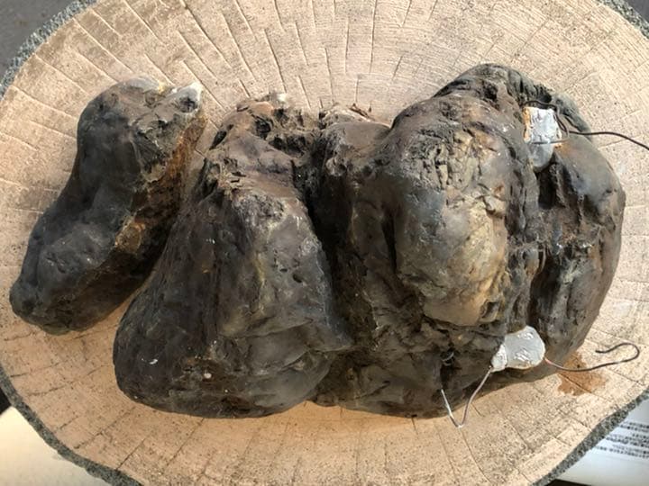 素晴らしい盆栽の石(石付きのおすすめです)