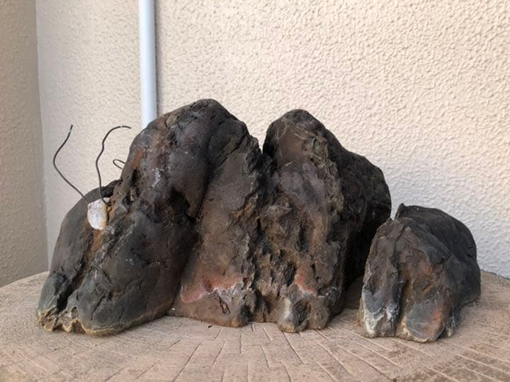 素晴らしい盆栽の石(石付きのおすすめです)