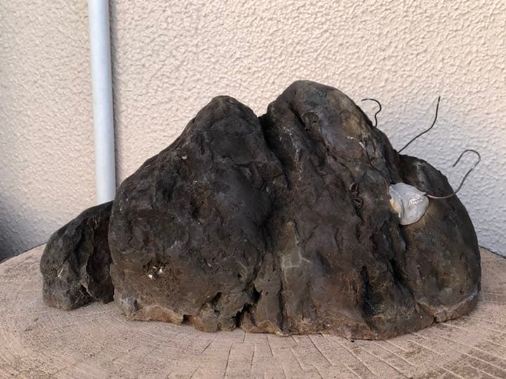 素晴らしい盆栽の石(石付きのおすすめです)