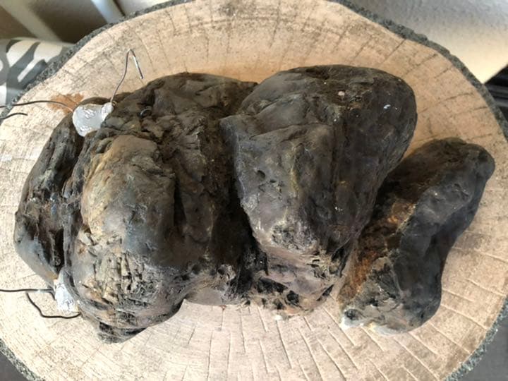 素晴らしい盆栽の石(石付きのおすすめです)